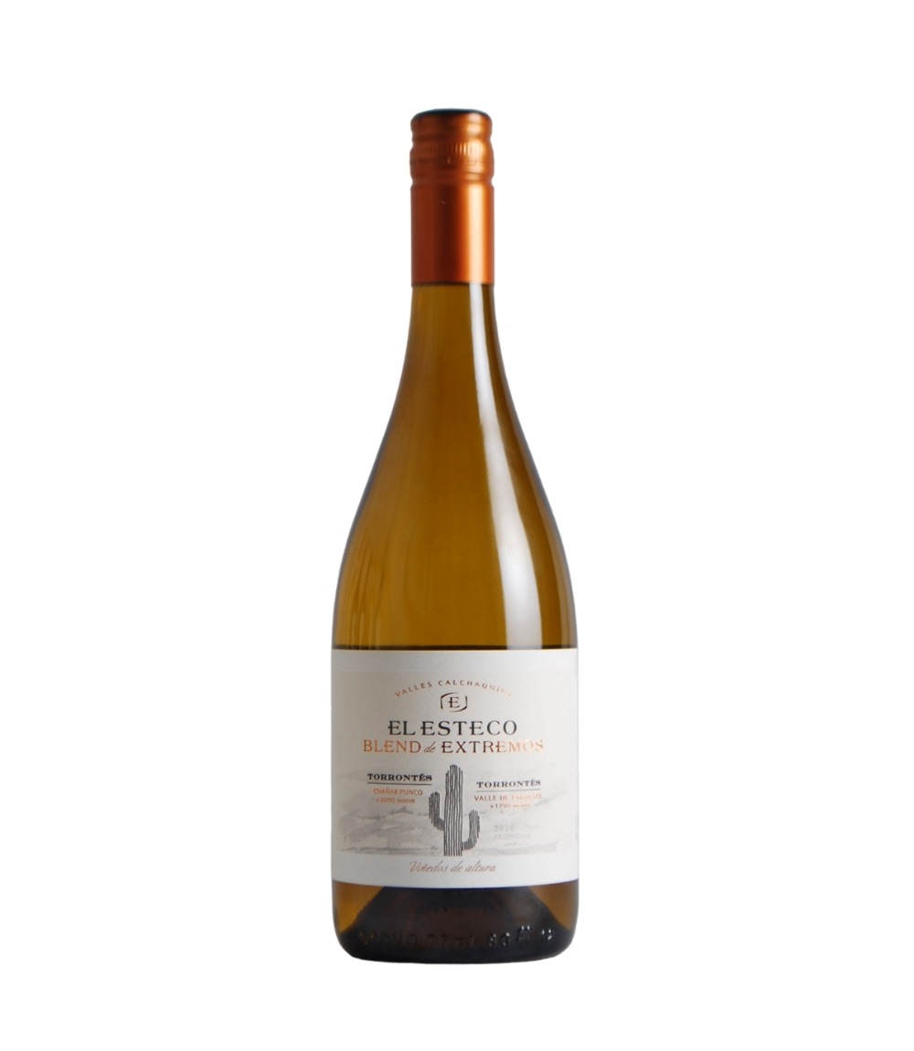 EL ESTECO OLD VINES TORRONTES