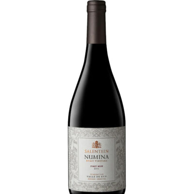 Salentein Numina Pinot Noir