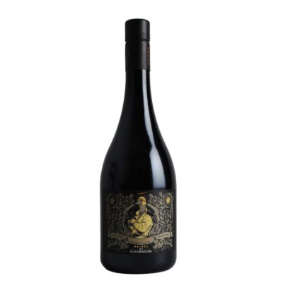 Kaiken Aventura Chacayes Sur Malbec