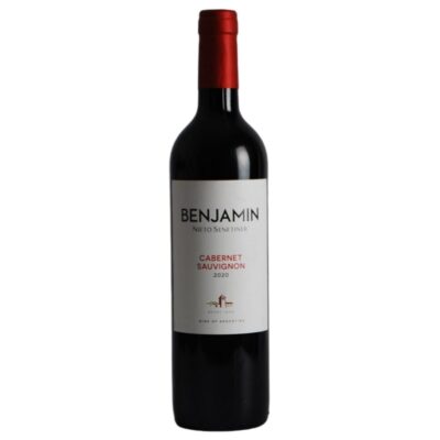 Benjamin Nieto Senetiner Cabernet Sauvignon