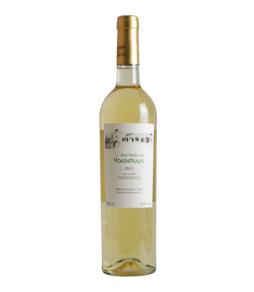 SAN PEDRO DE YACOCHUYA TORRONTES